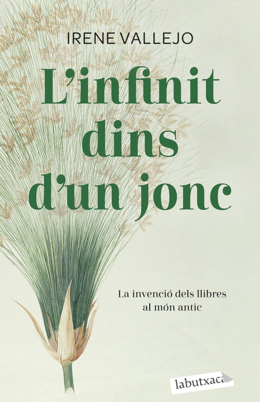  L'infinit dins d'un jonc 