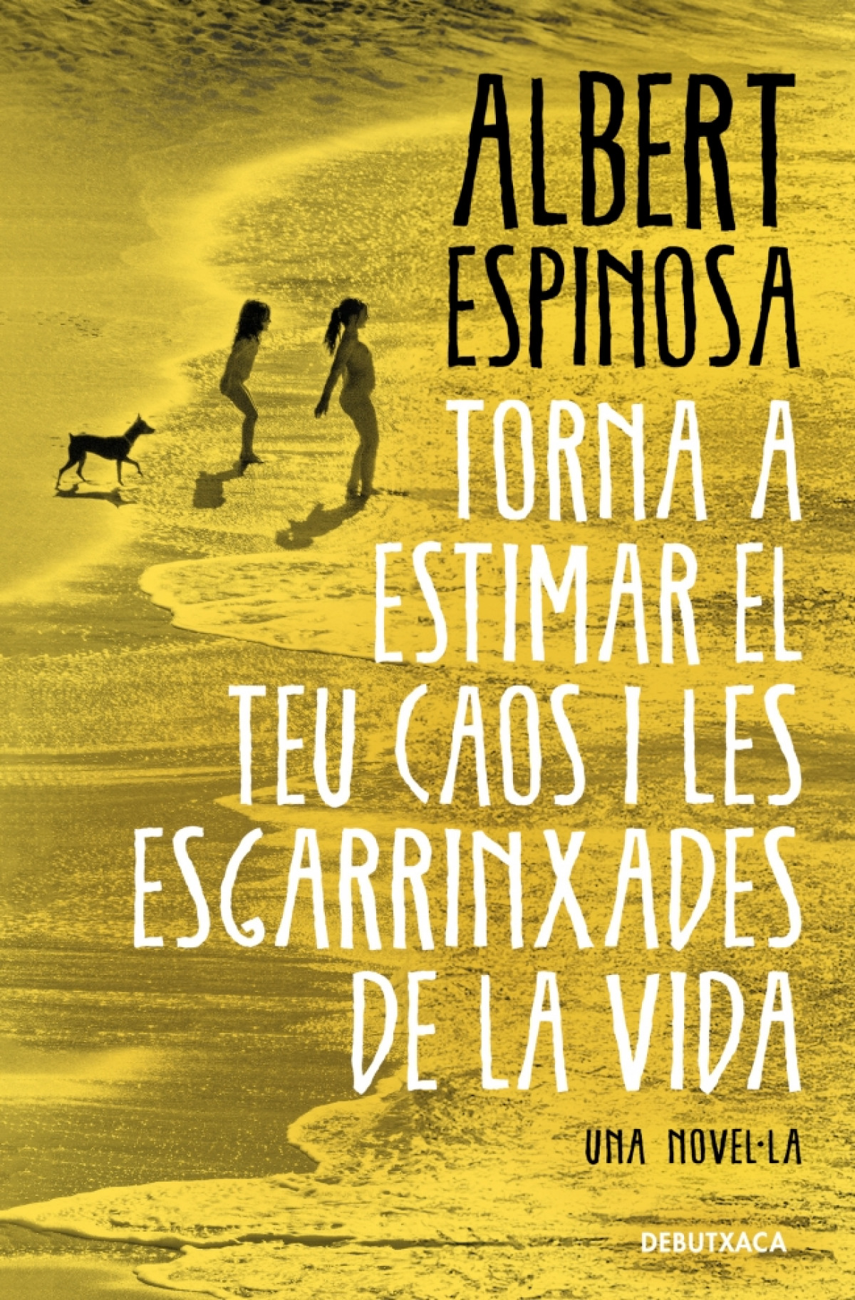 Torna a estimar el teu caos i les esgarrinxades de la vida