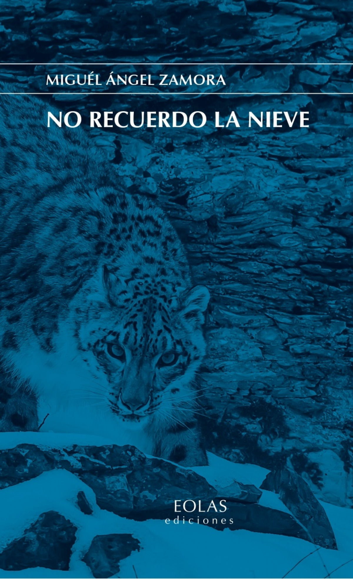 No recuerdo la nieve