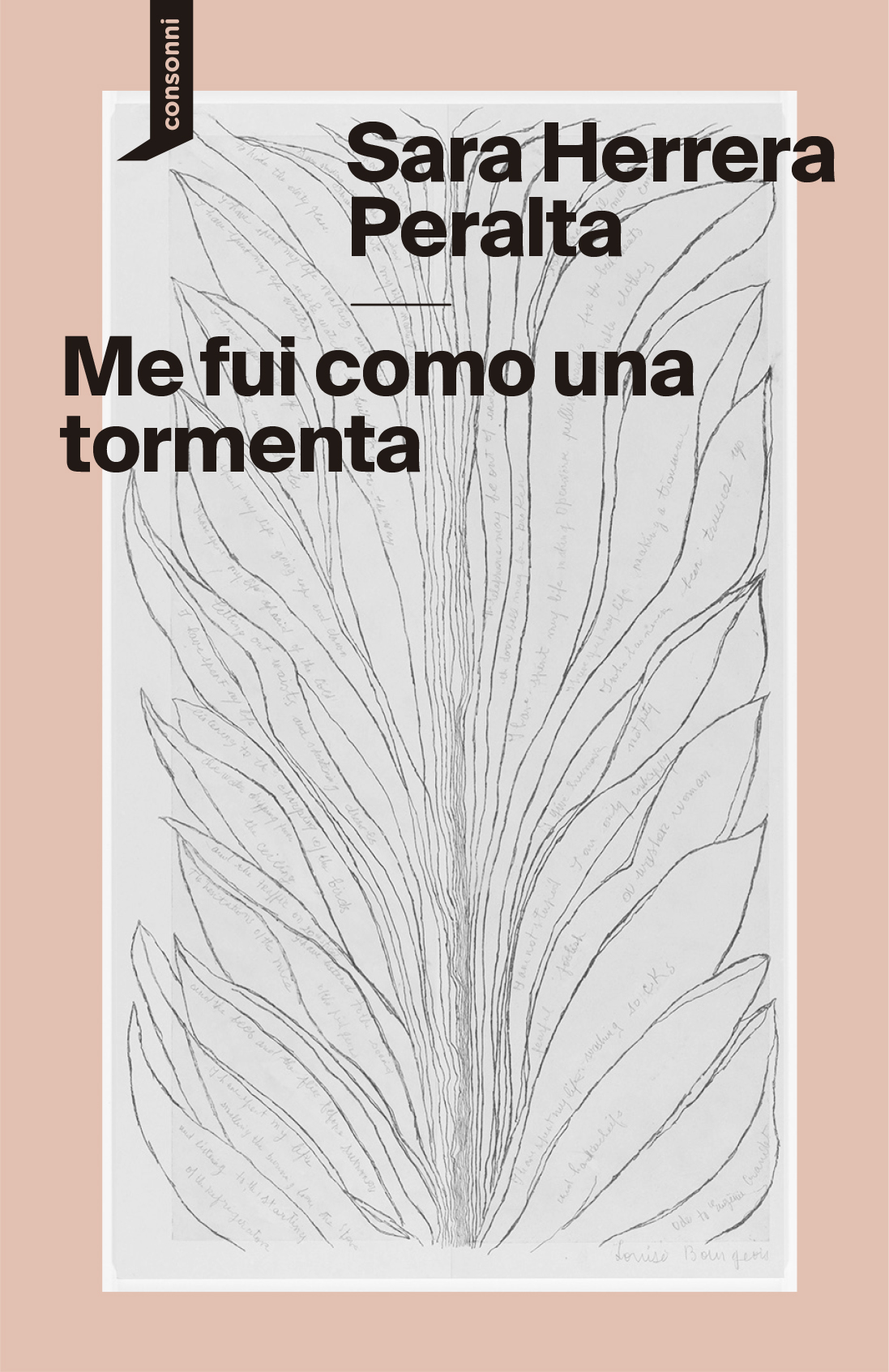  Me fui como una tormenta 