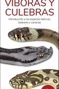 VIBORAS Y CULEBRAS
