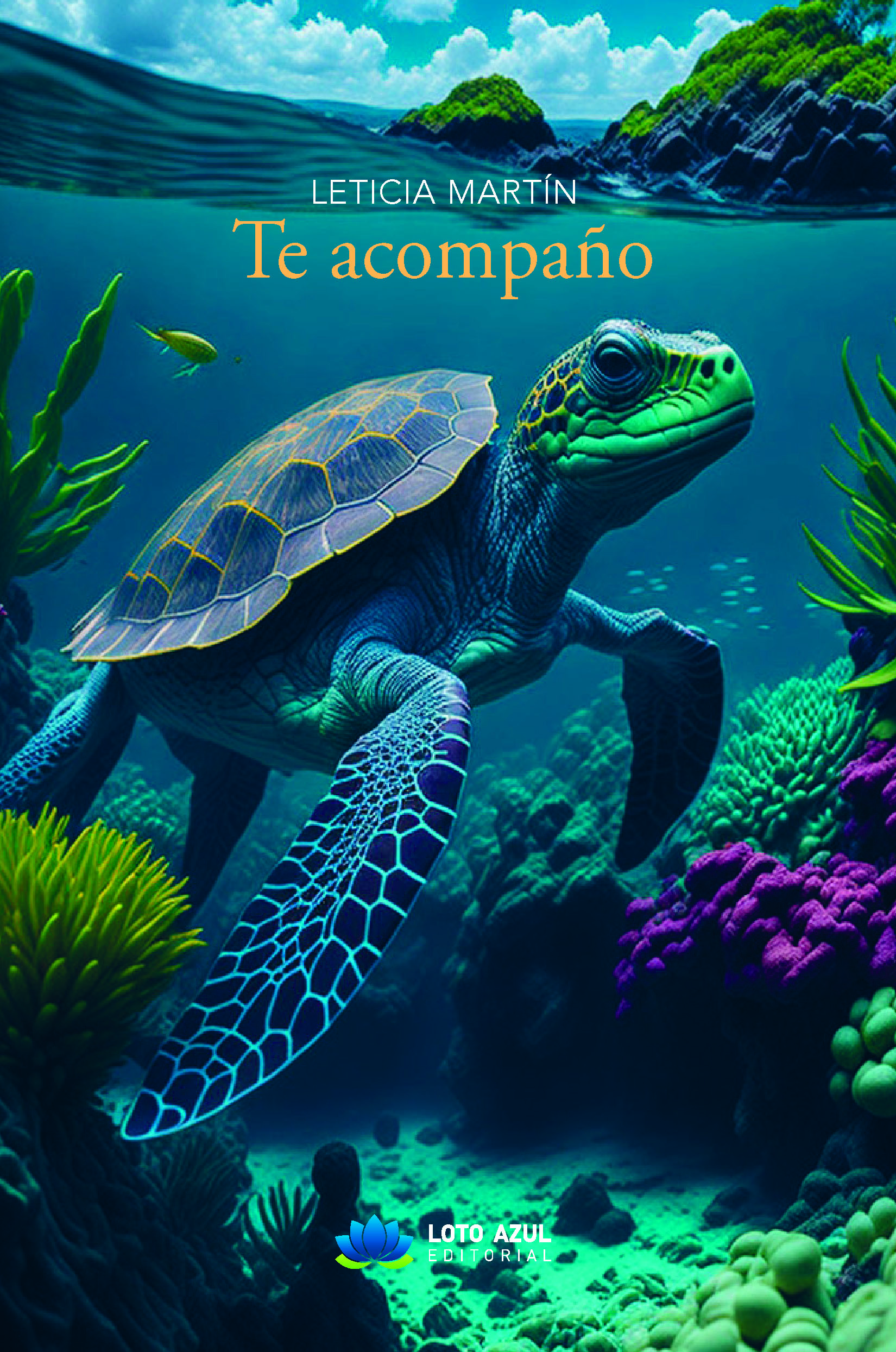  Te acompaño 