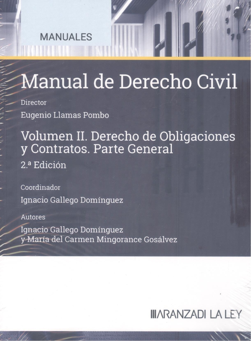  Manual de Derecho civil 