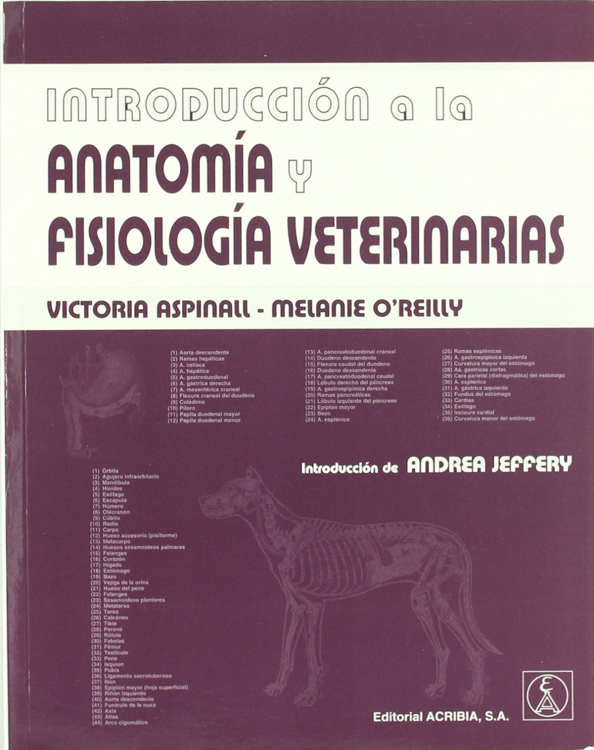 Portada