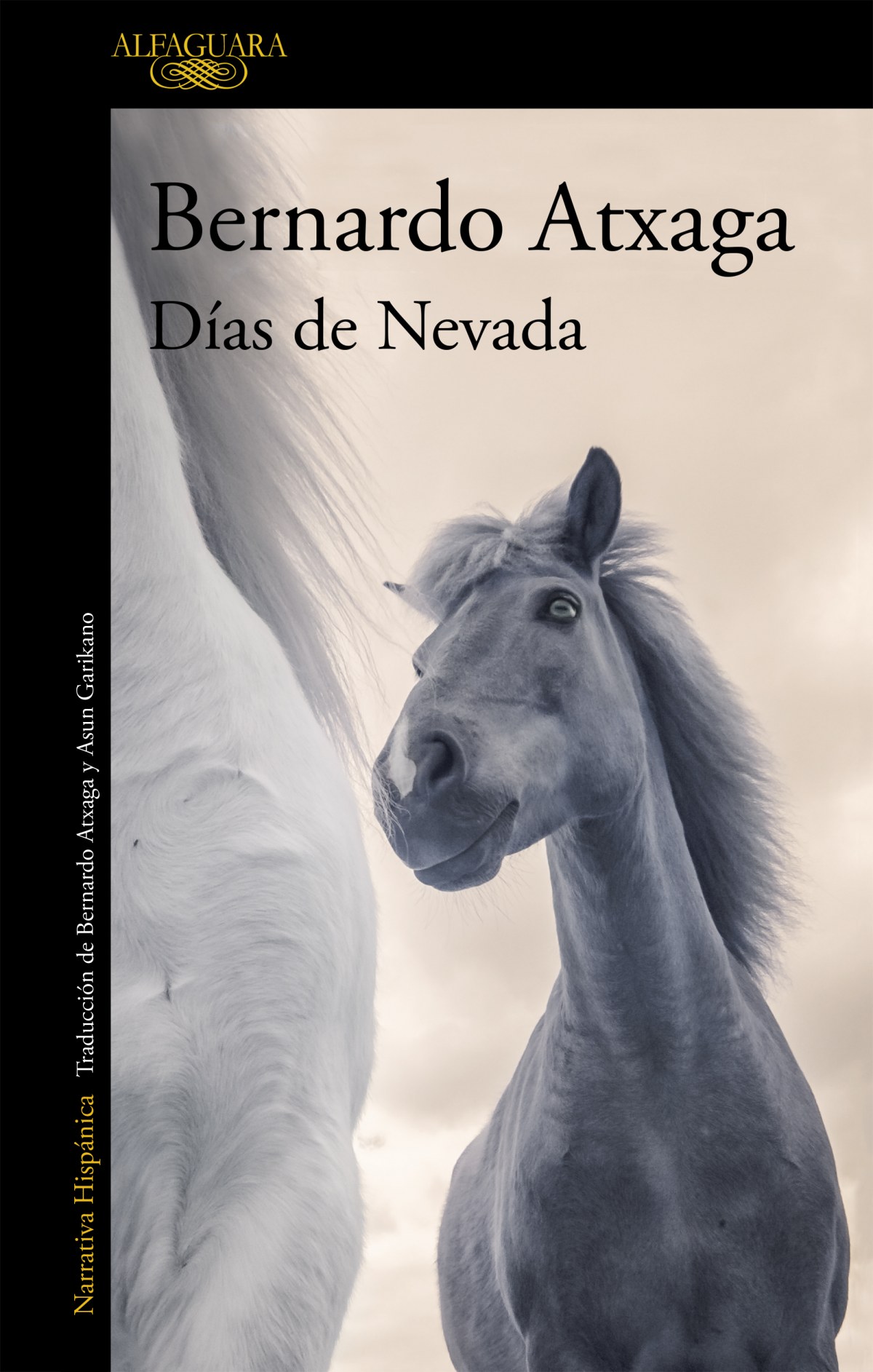  Días de nevada 