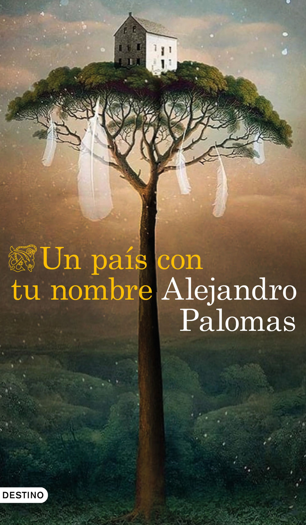 Portada