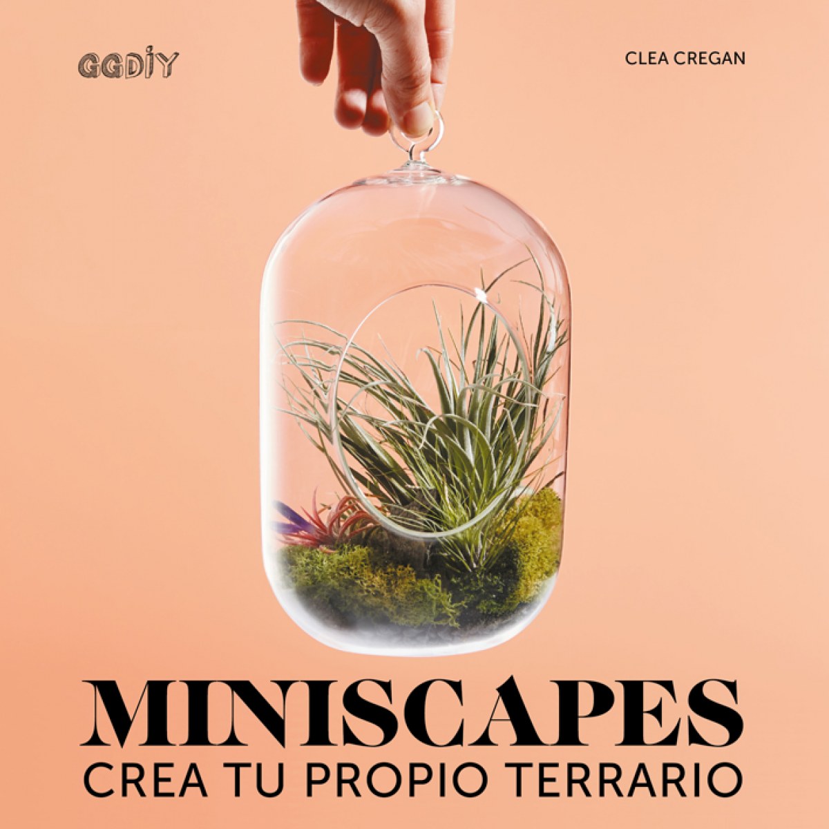  Miniscapes 