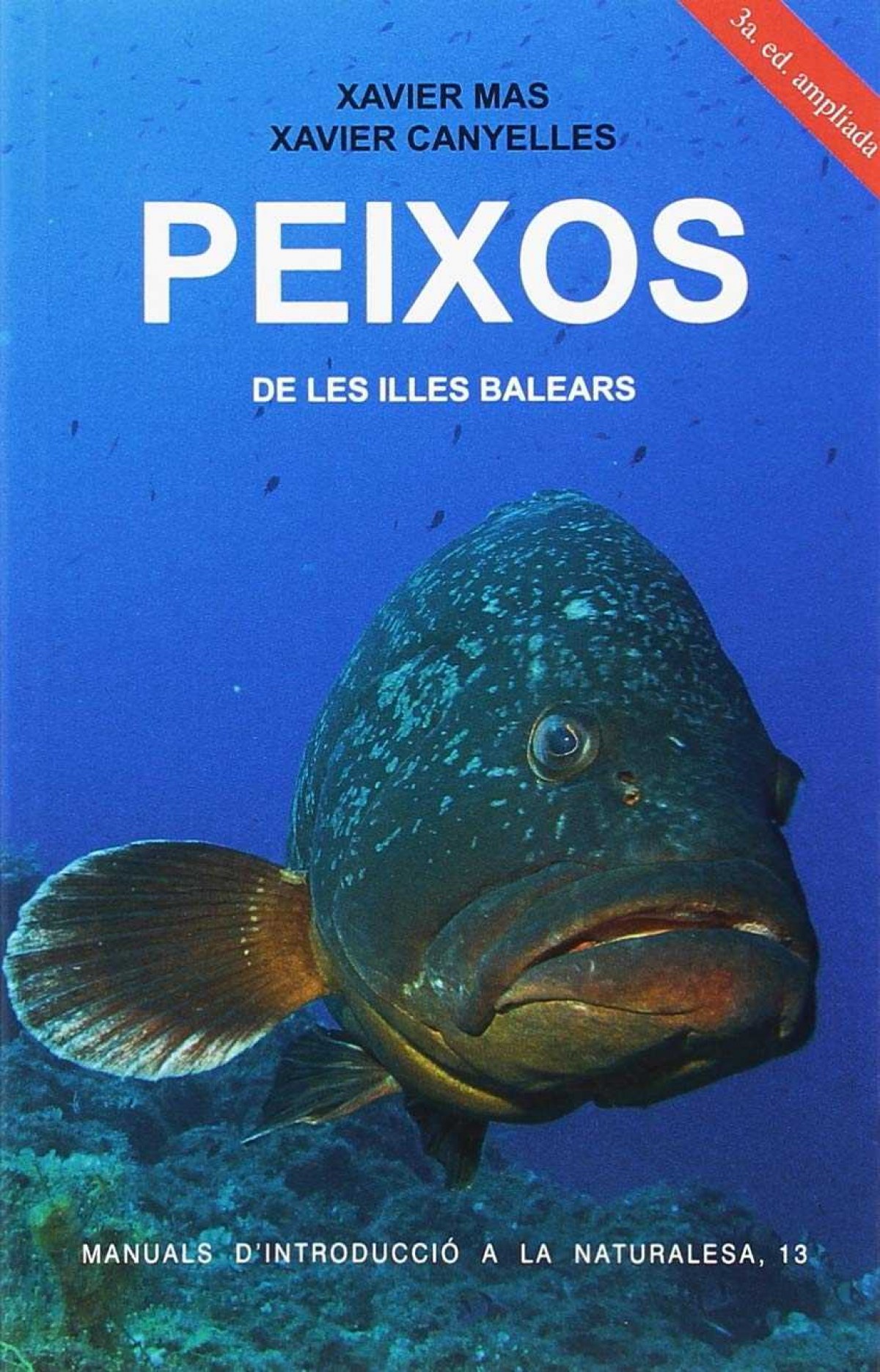 Capa