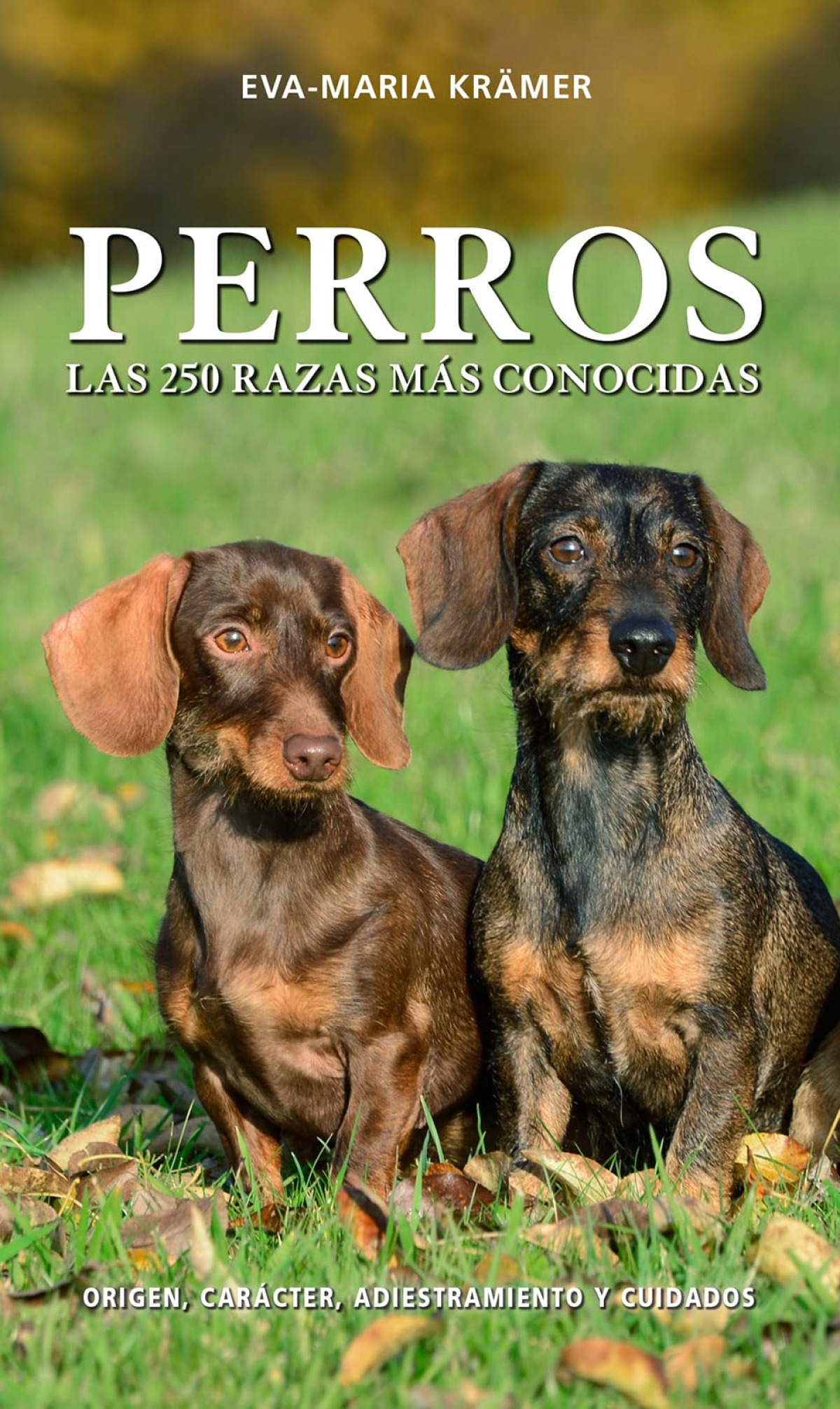 Capa