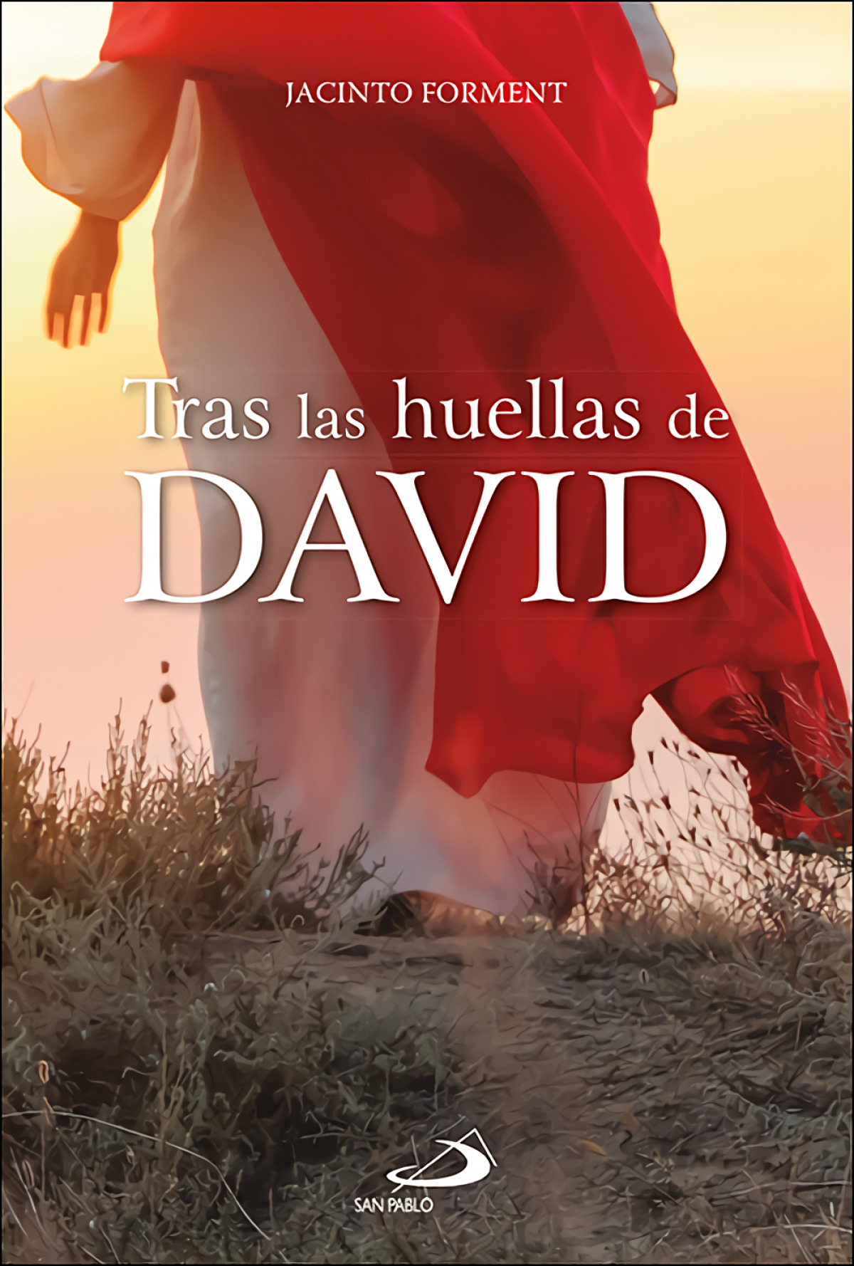 Tras las huellas de David