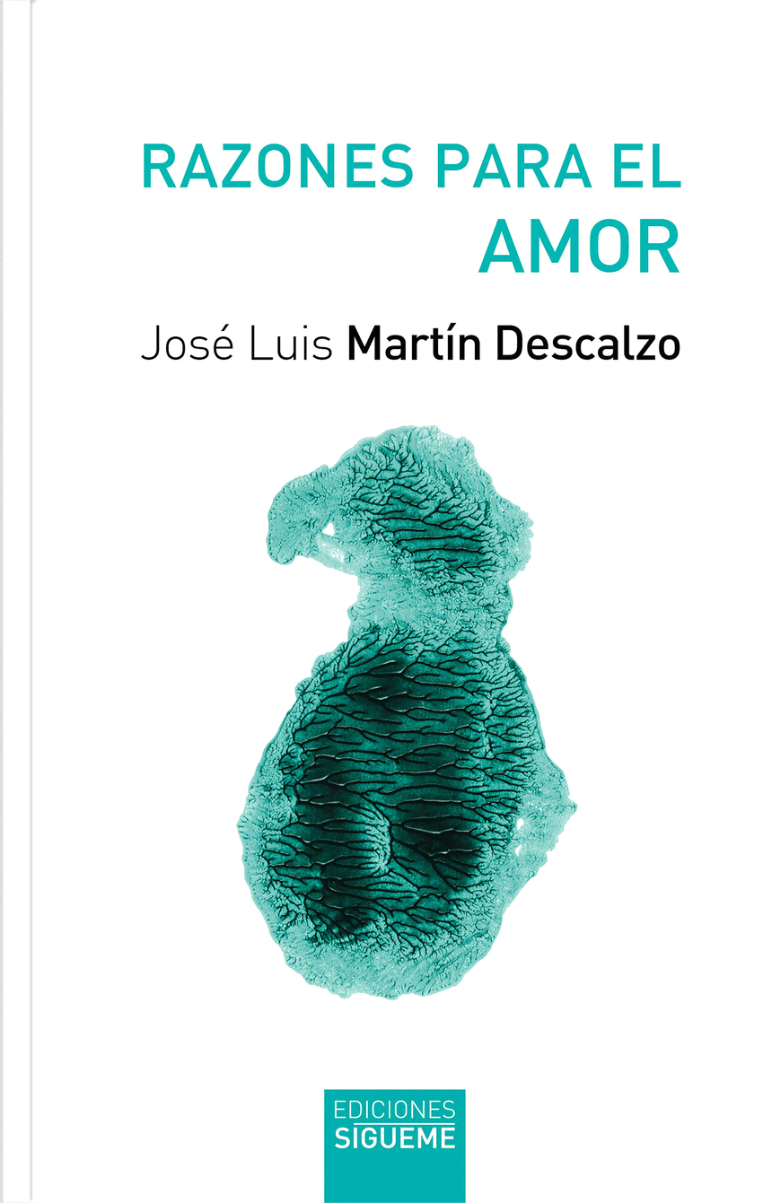  RAZONES PARA EL AMOR 