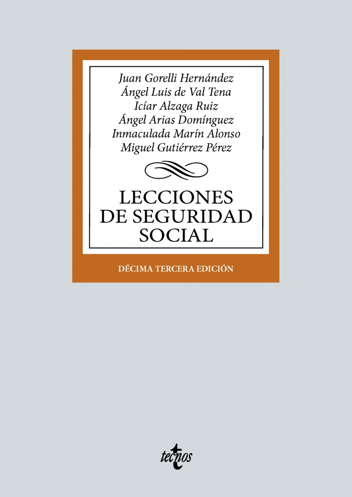 Lecciones de seguridad social