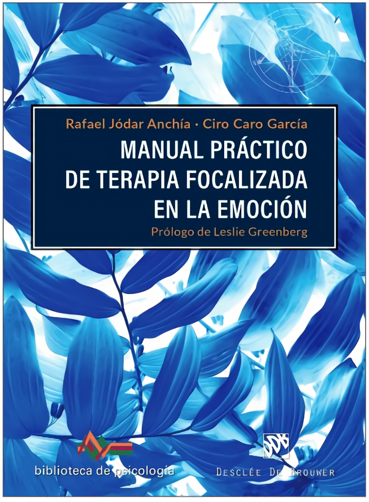 Manual practico de terapia focalizada en la emocion