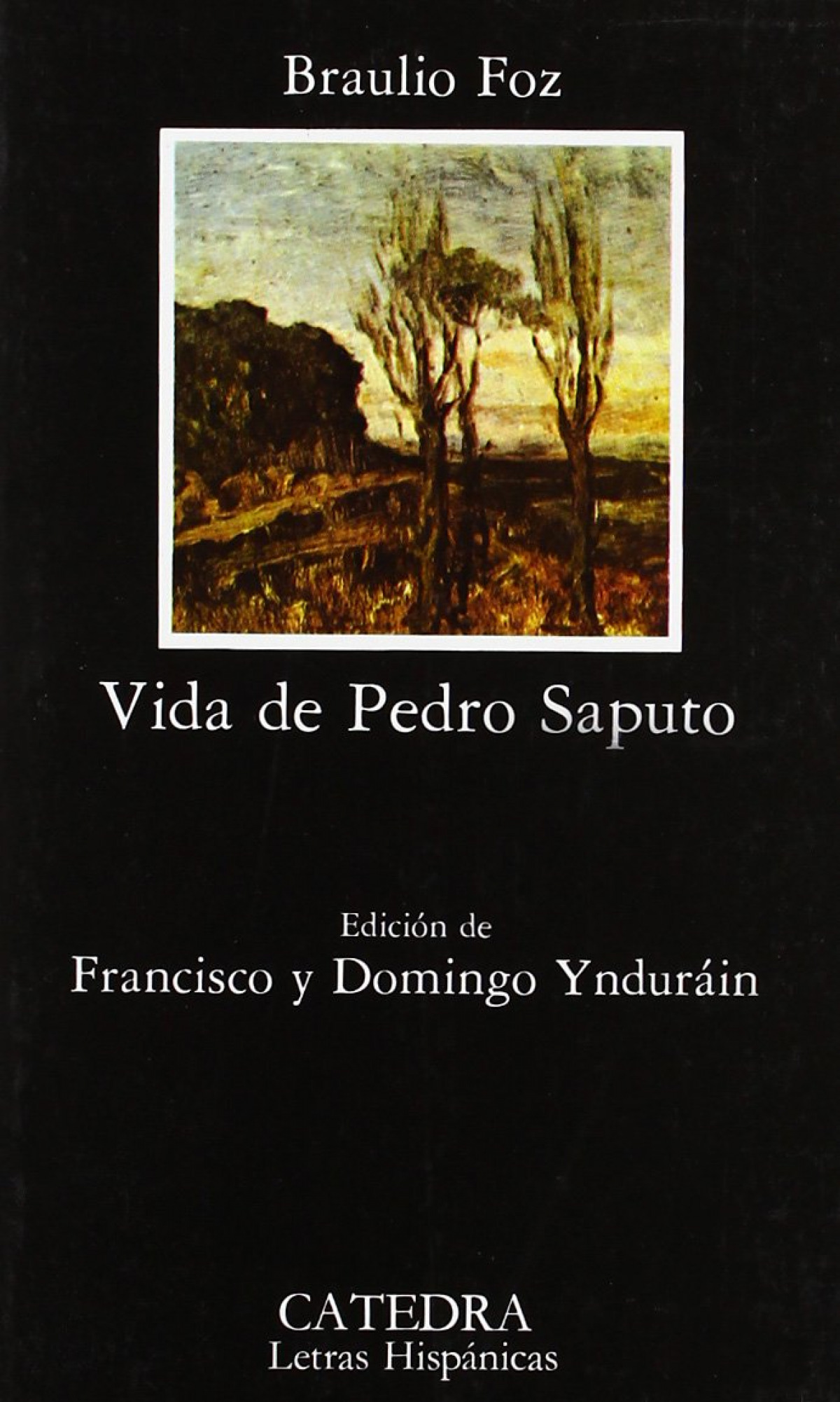 Vida de Pedro Saputo