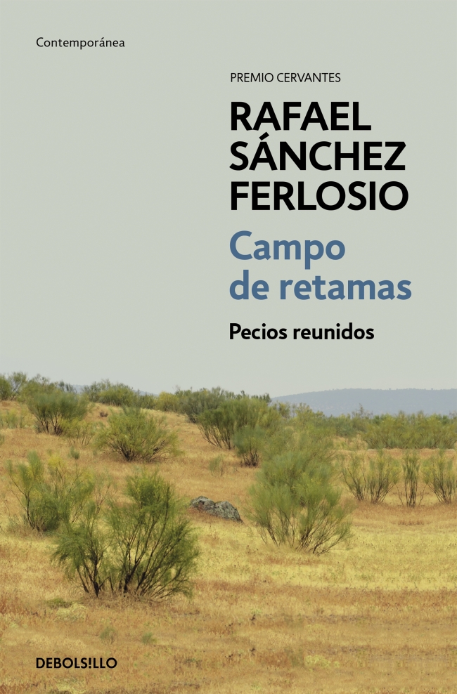  CAMPO DE RETAMAS 