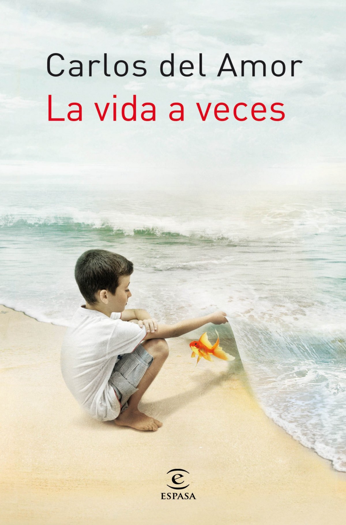  La vida a veces 