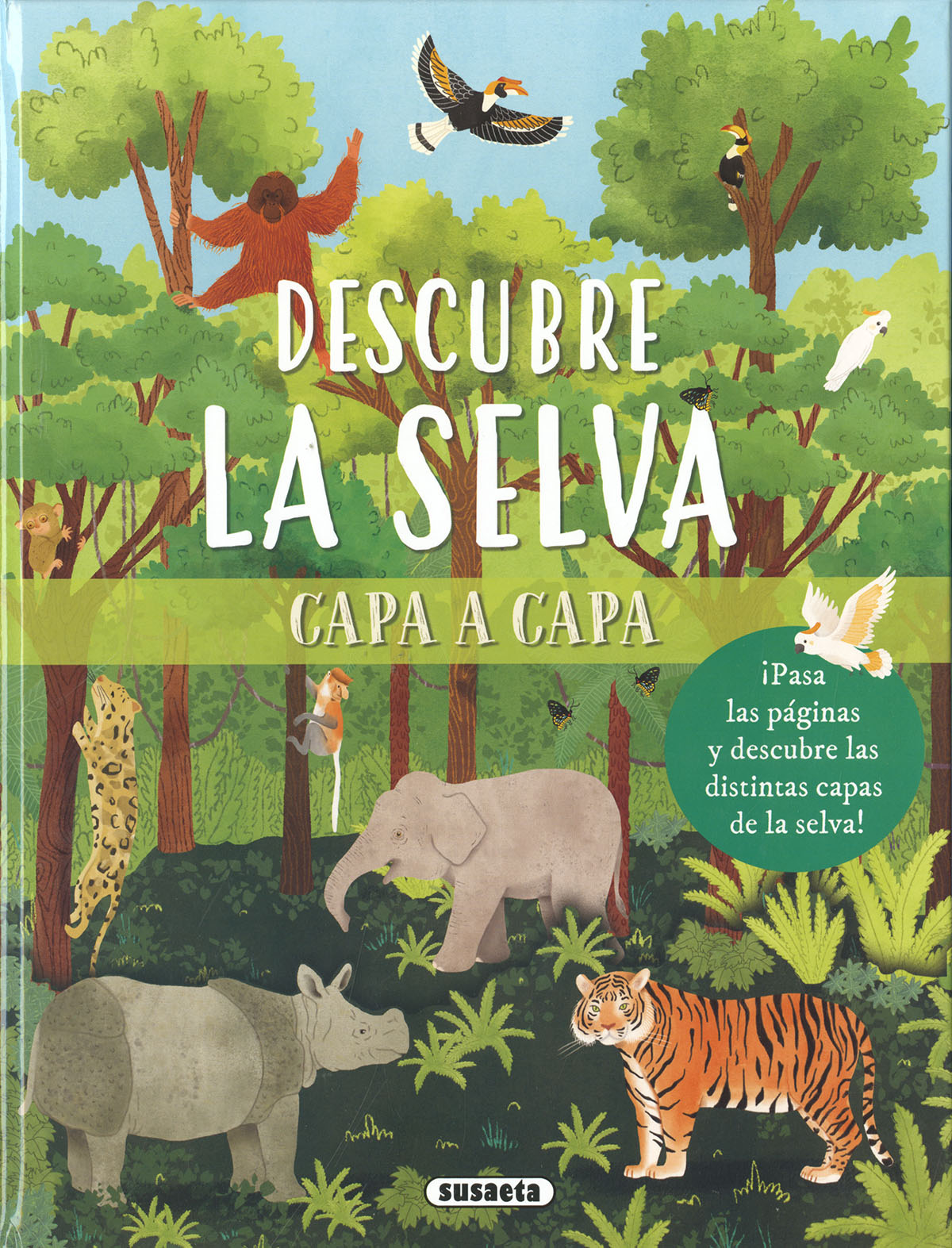  Descubre la selva 