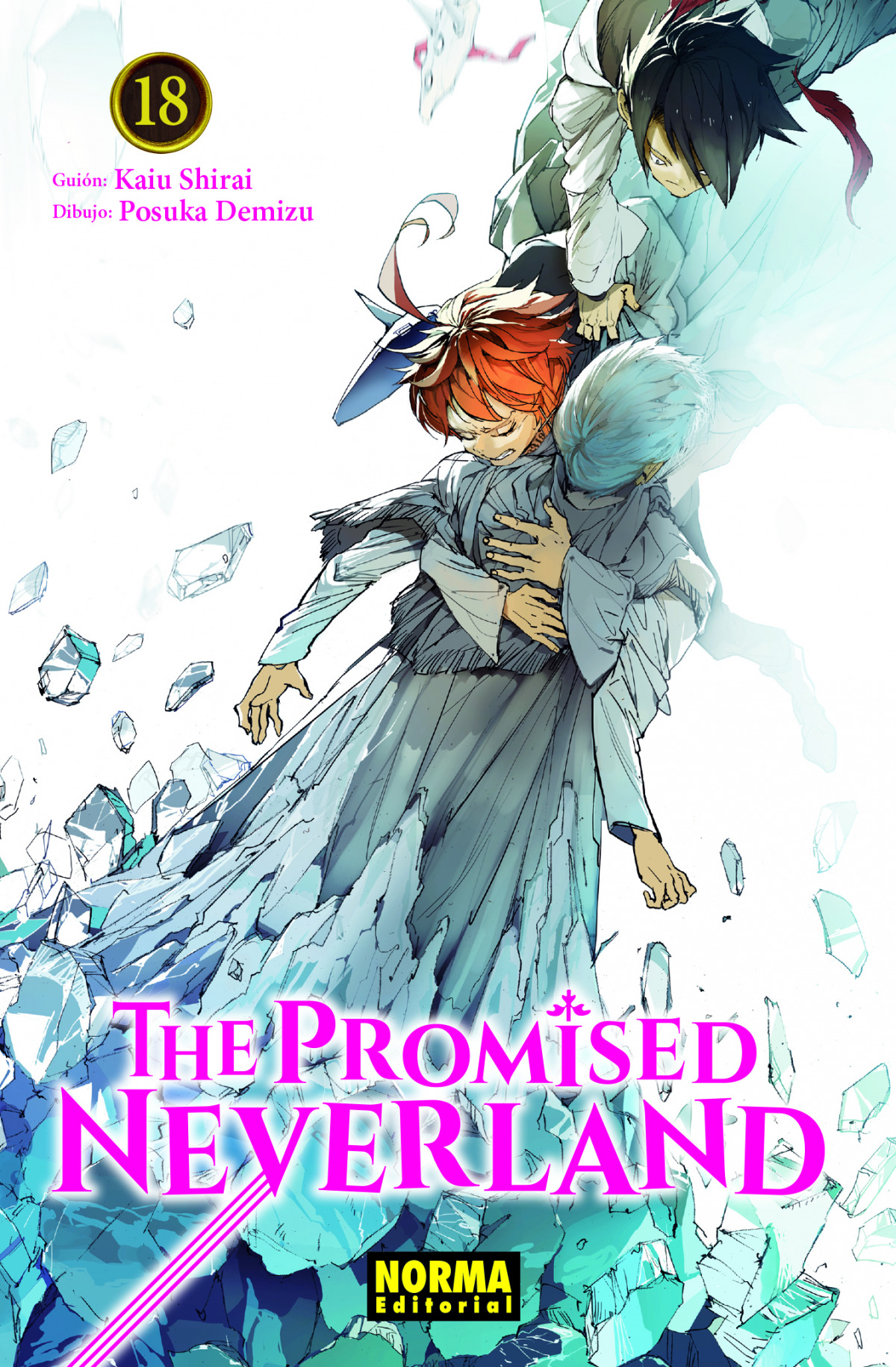 The Promised Neverland 18