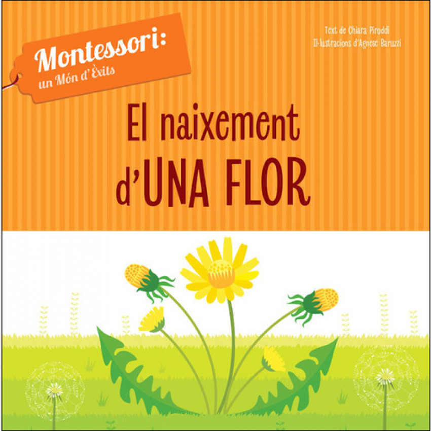 EL NAIXEMENT D'UNHA FLOR