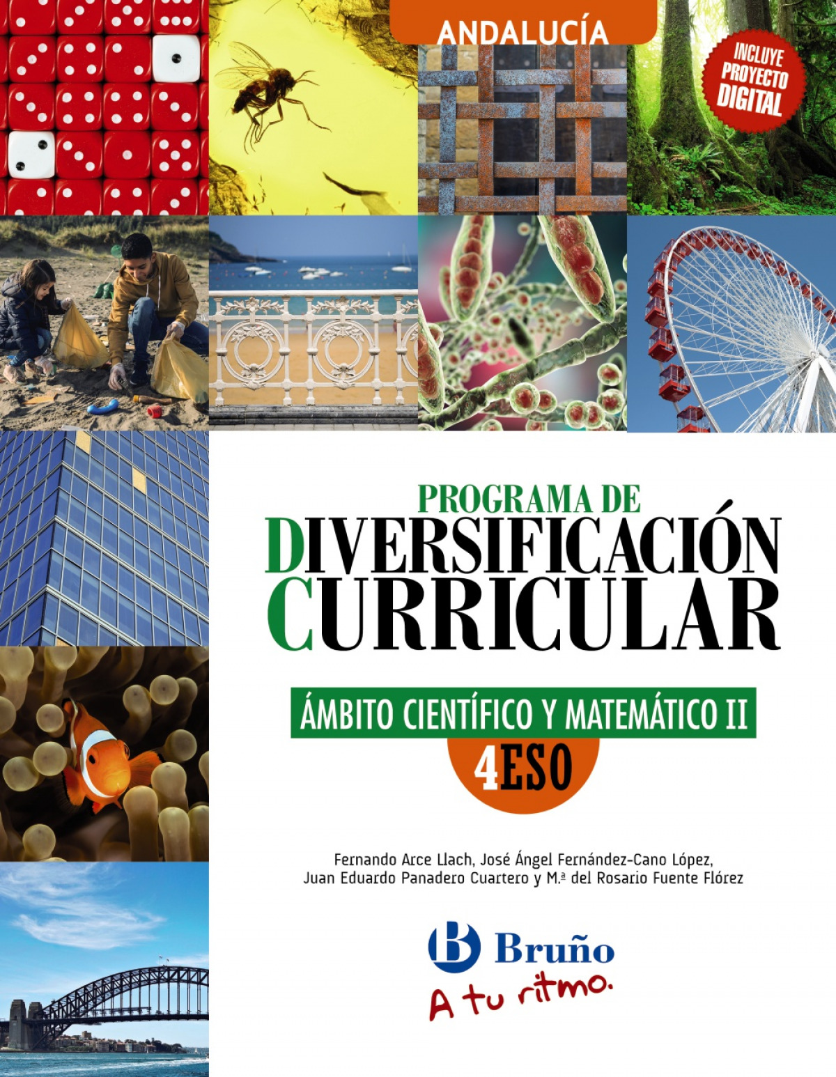  DIVERS.CURR.AMBITO CIENTIFICO TECNOLOG.4ºESO ANDAL 