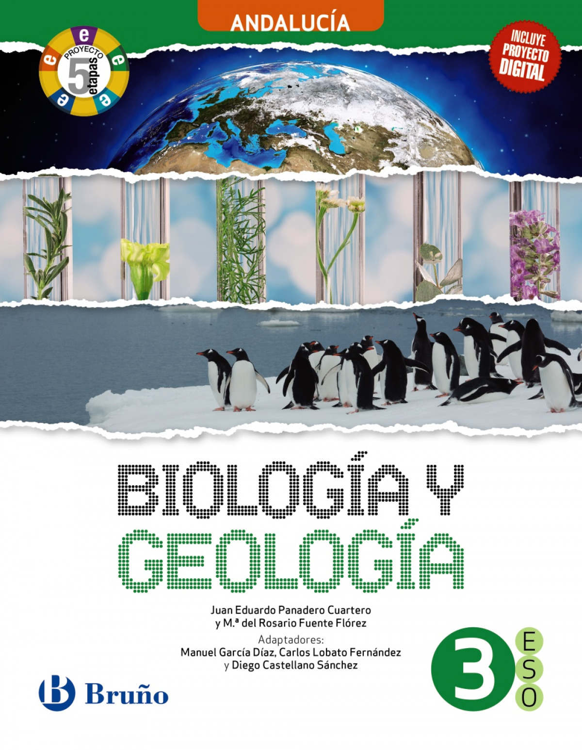 BIOLOGIA Y GEOLOGIA 3ºESO 5 ETAPAS ANDALUCIA 24 