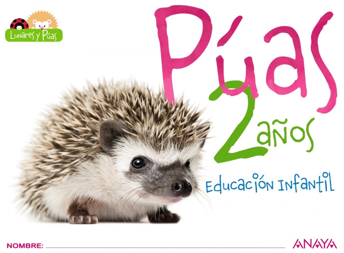  PROYECTO PÚAS 2 AÑOS 