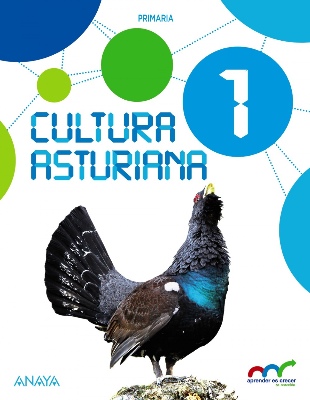 CULTURA ASTURIANA 1ºPRIMARIA