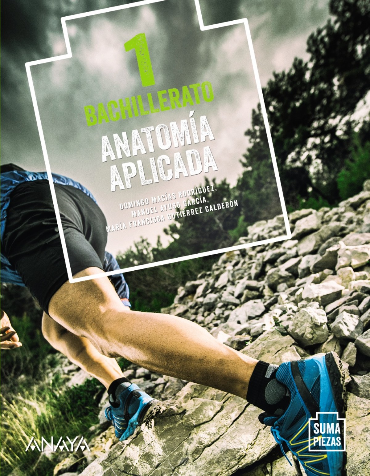  Anatomía Aplicada. 