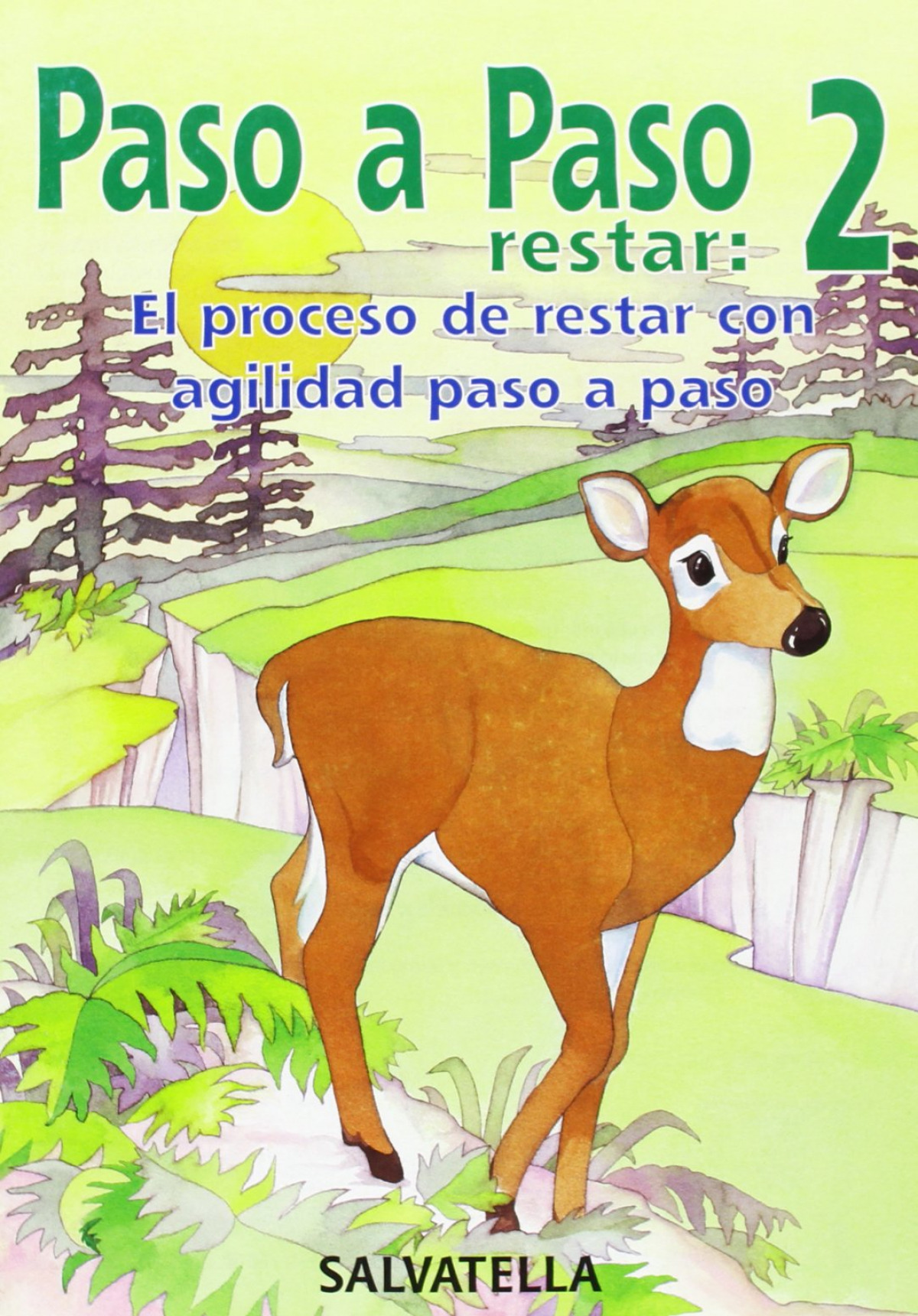Paso a Paso R-2