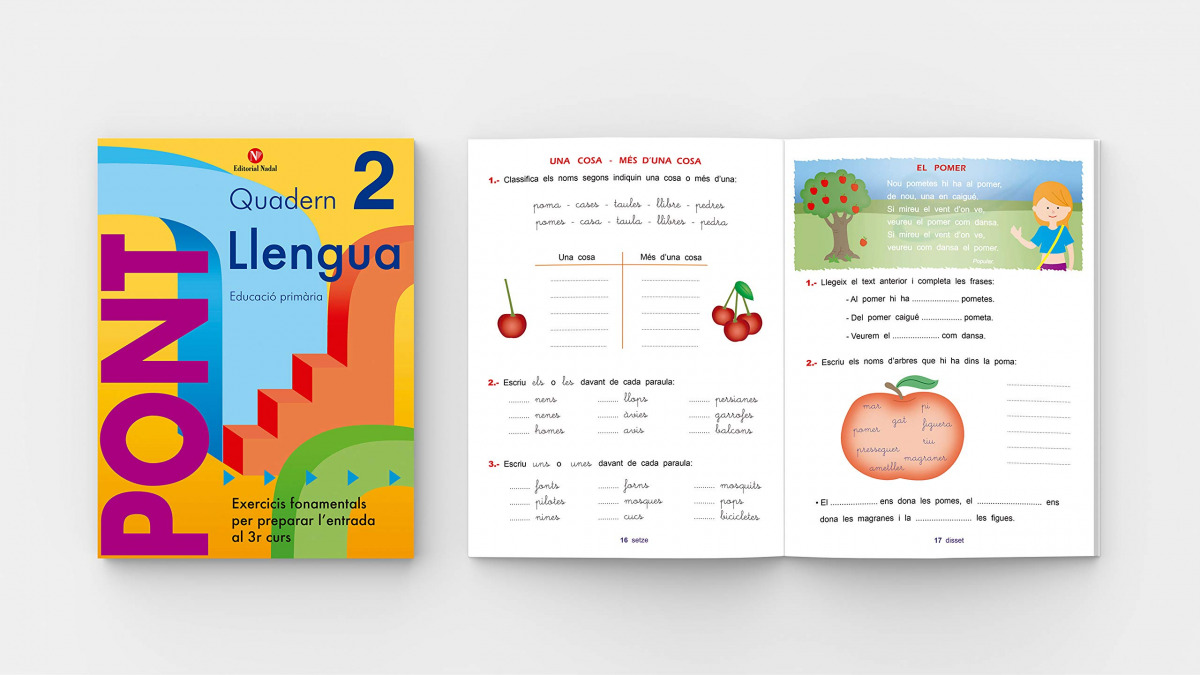 Pont llengua, 2 Educació Primària (pas de 2n a 3r cicle)