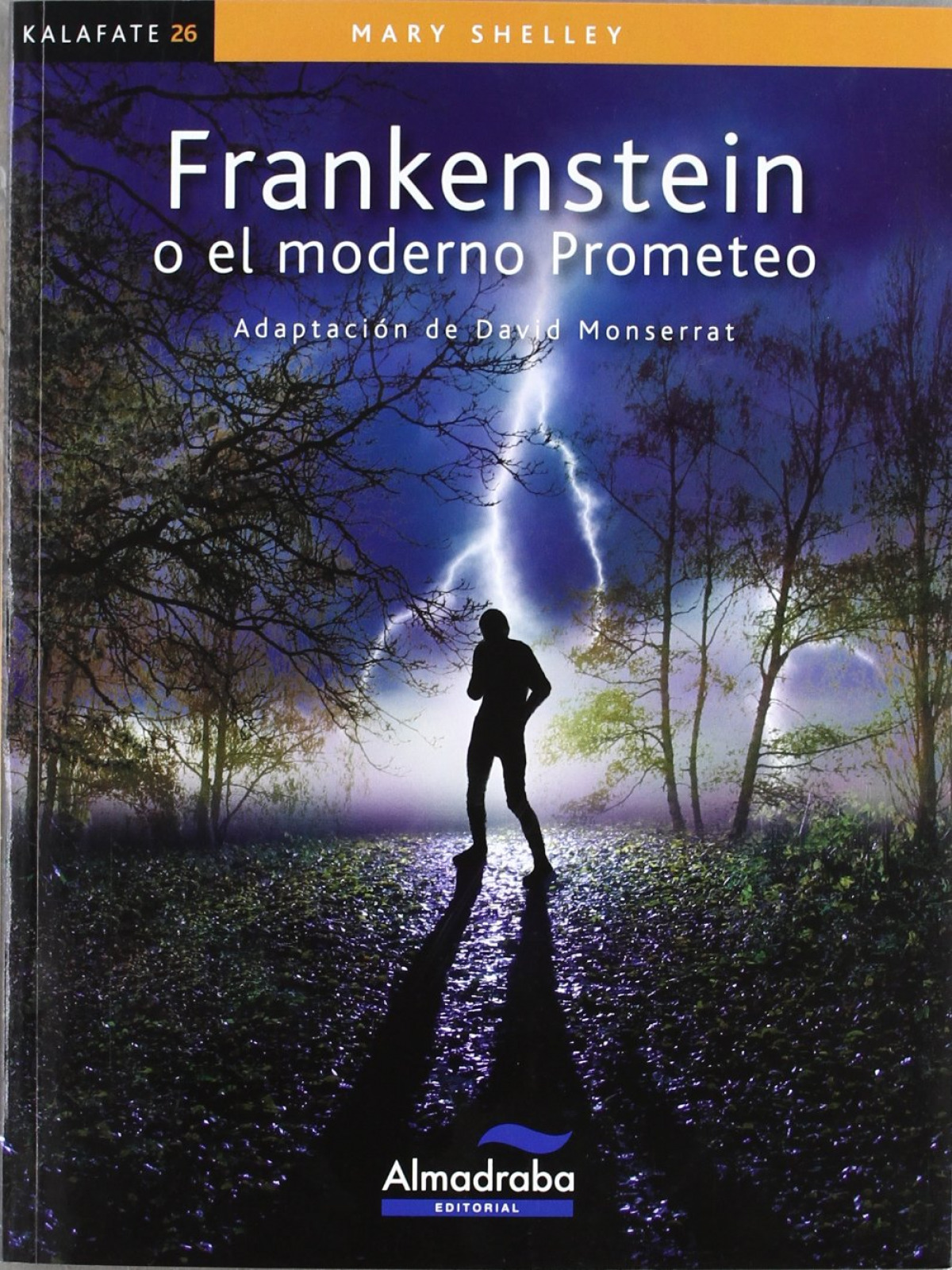  Frankenstein o el moderno Prometeo 