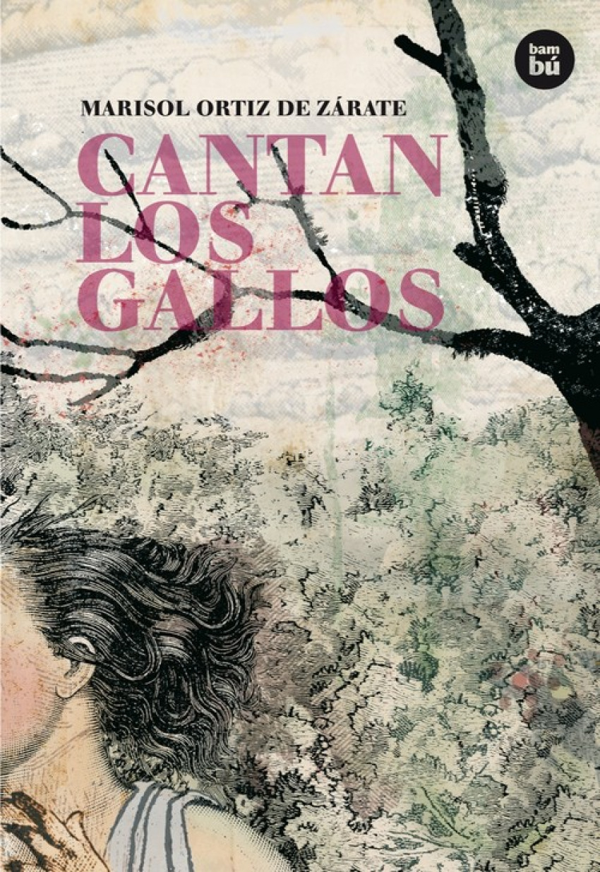  Cantan los gallos 