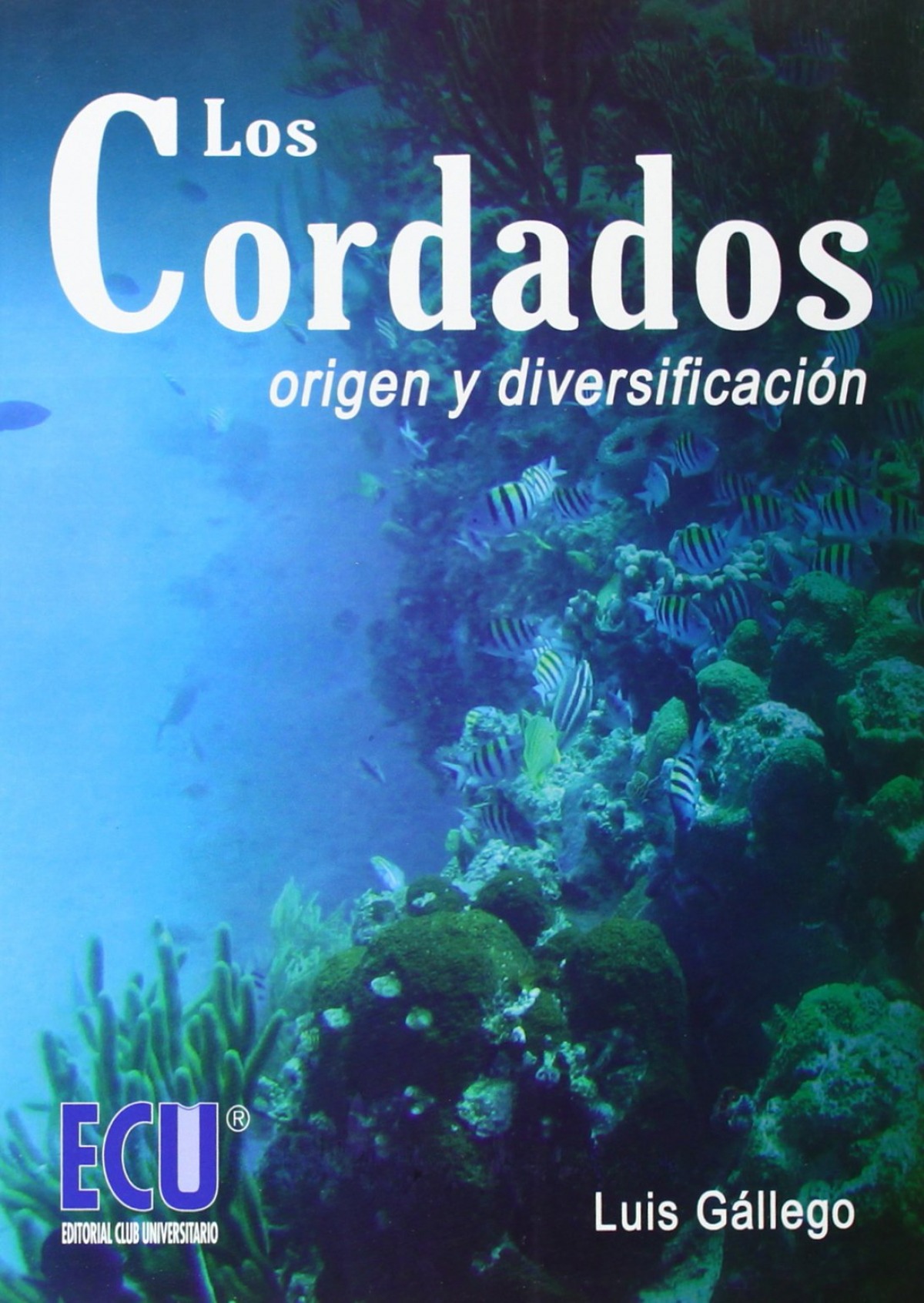 Los cordados. Origen y diversificación