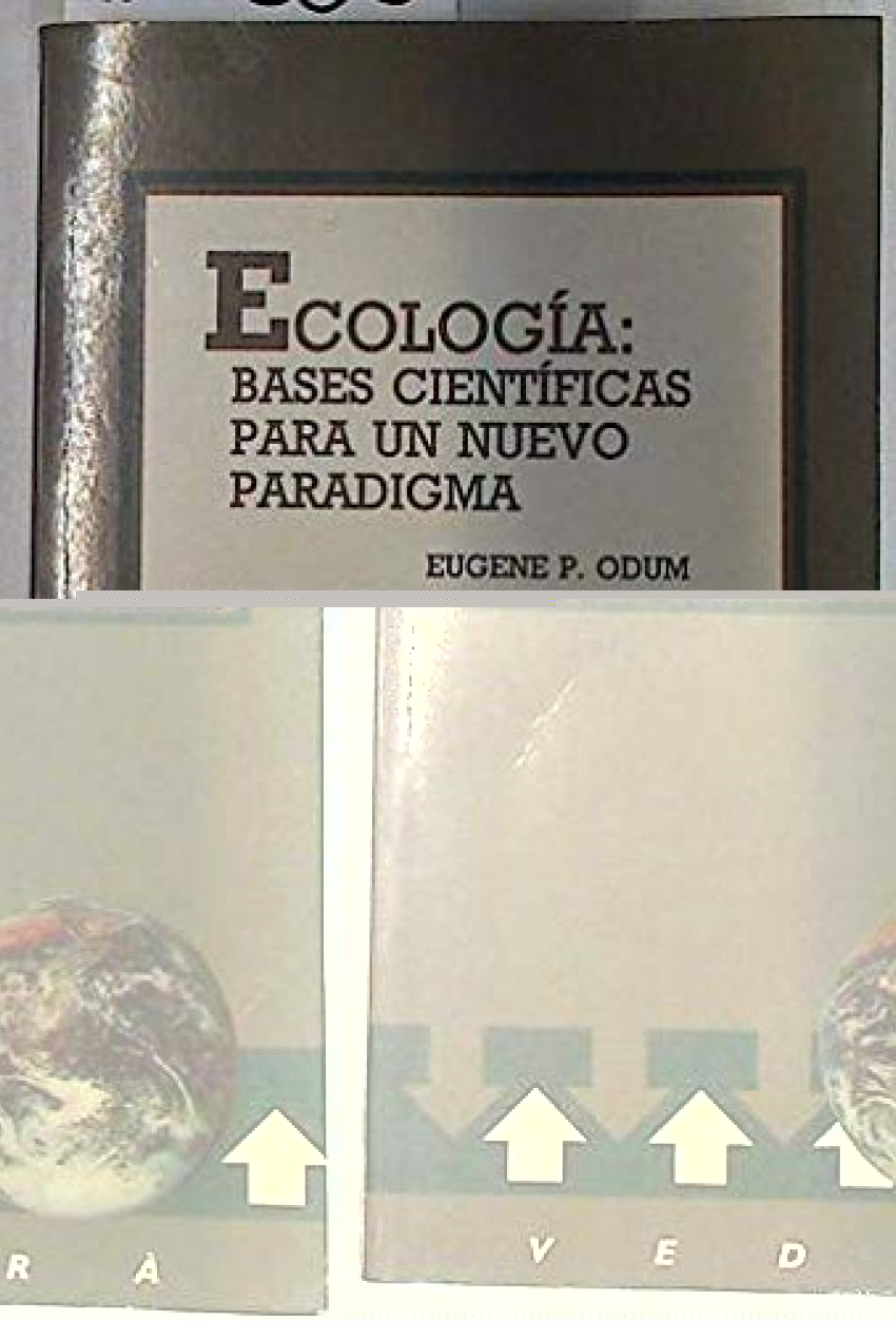 Capa