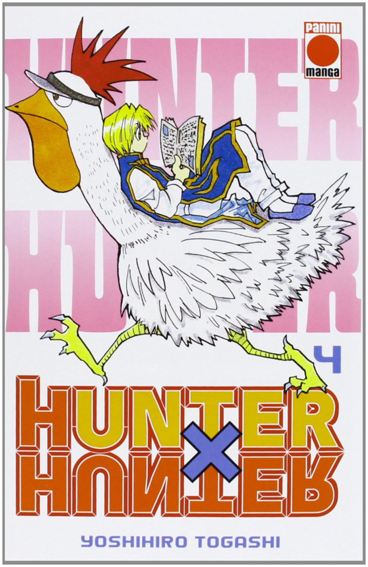 Hunter x hunter