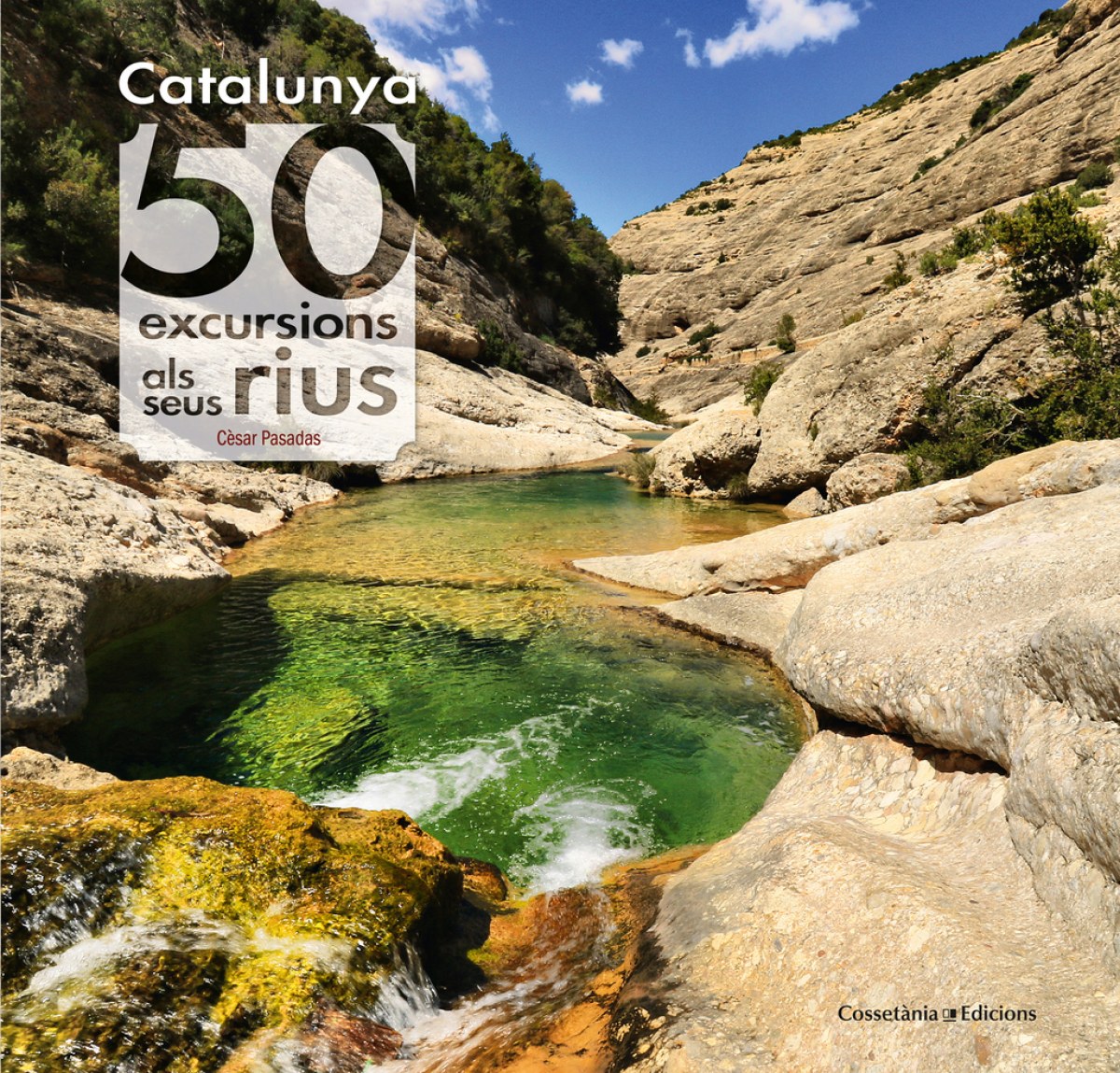 CATALUNYA:50 EXCURSIONS ALS SEUS RIUS