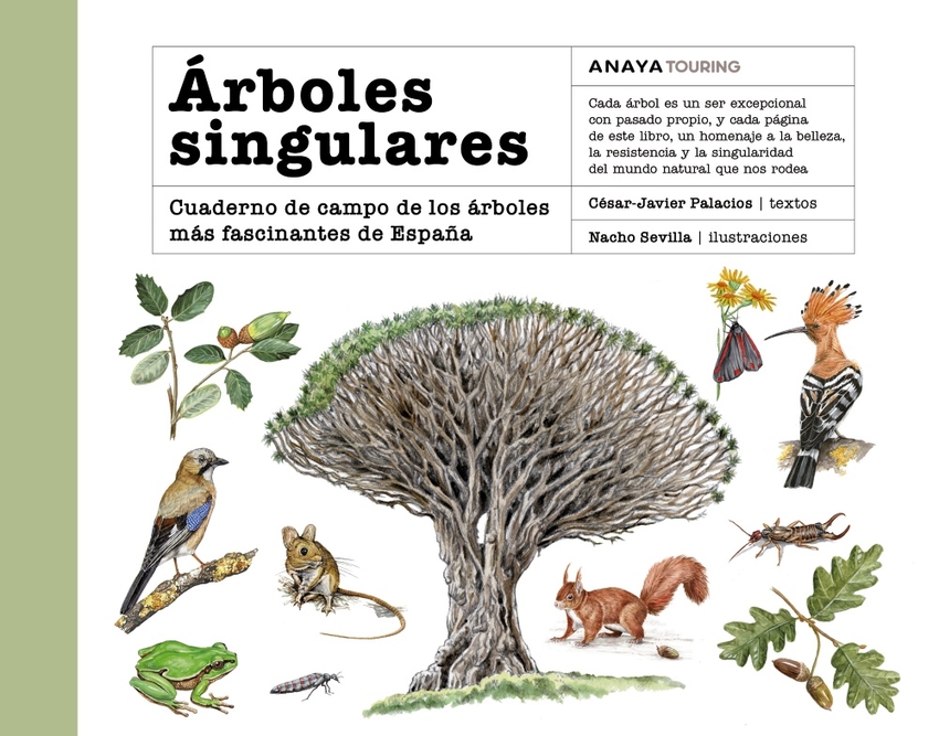  Árboles singulares 