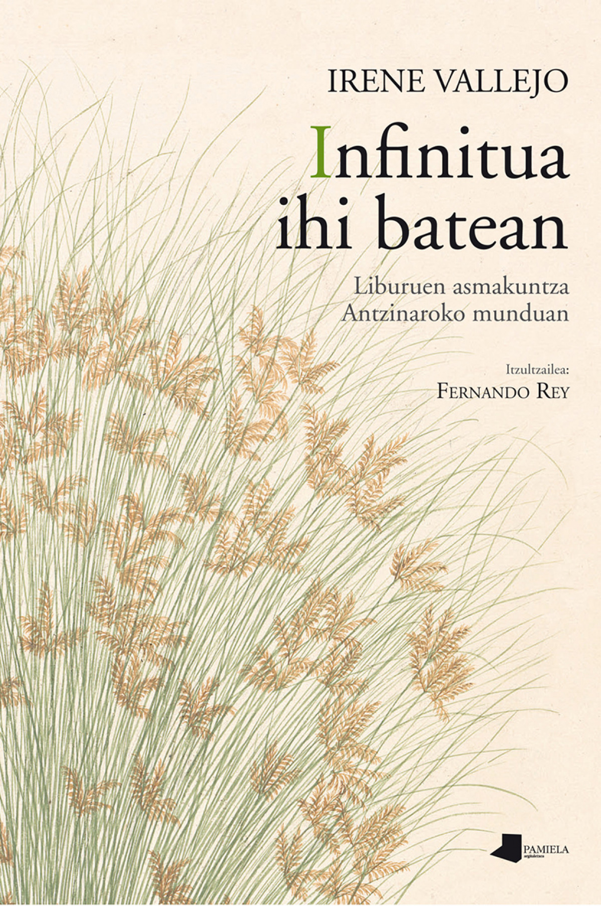  Infinitua ihi batean 