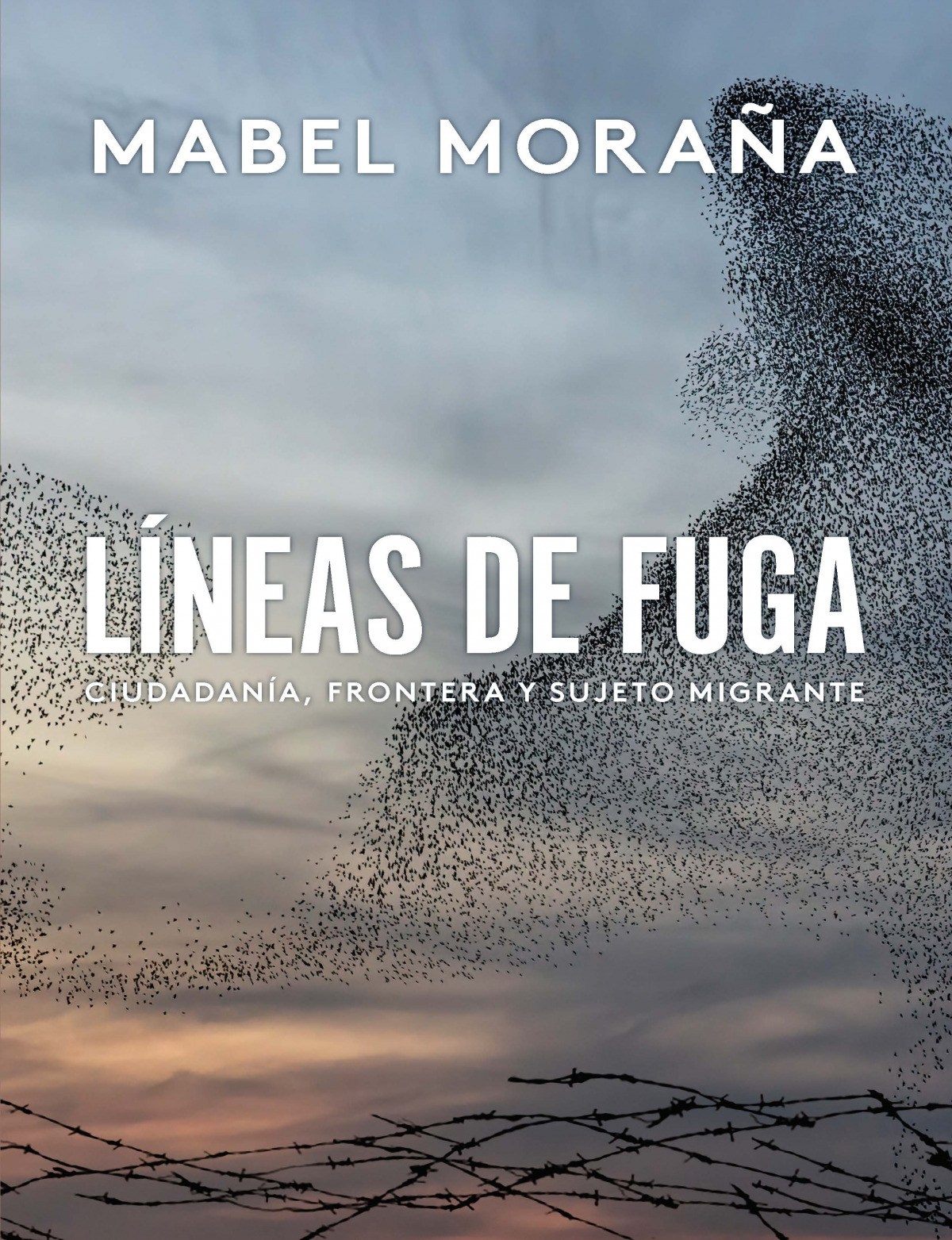 Líneas de fuga