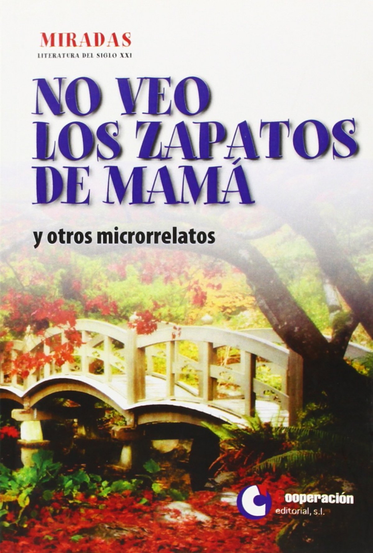 No veo los zapatos de mamá y otros microrelatos