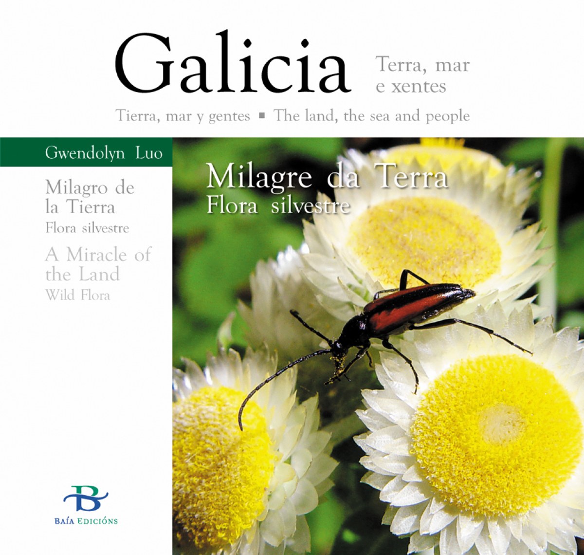  MILAGRE DA TERRA 