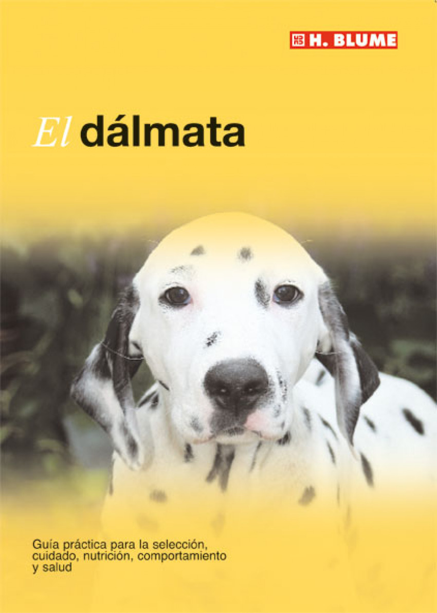 Dalmata