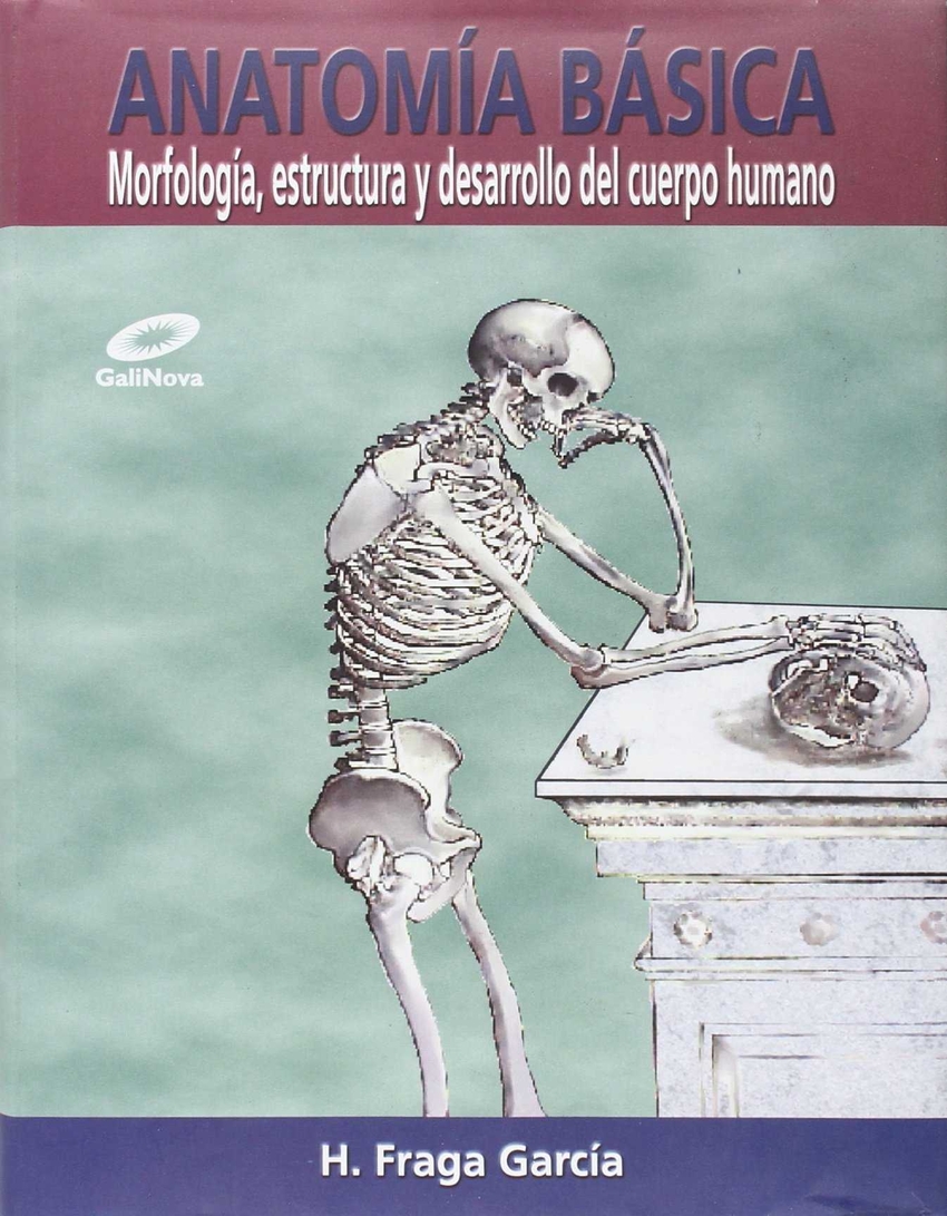 Anatomía básica