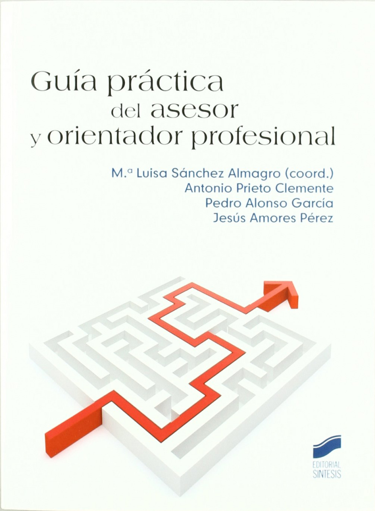 Guía practica del asesor y orientador profesional