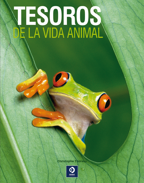 TESOROS DE LA VIDA ANIMAL