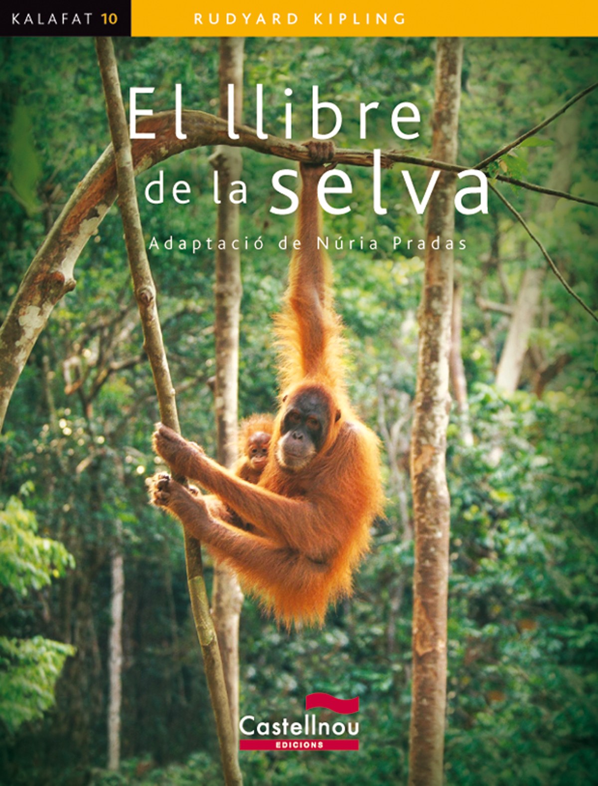  El llibre de la selva 