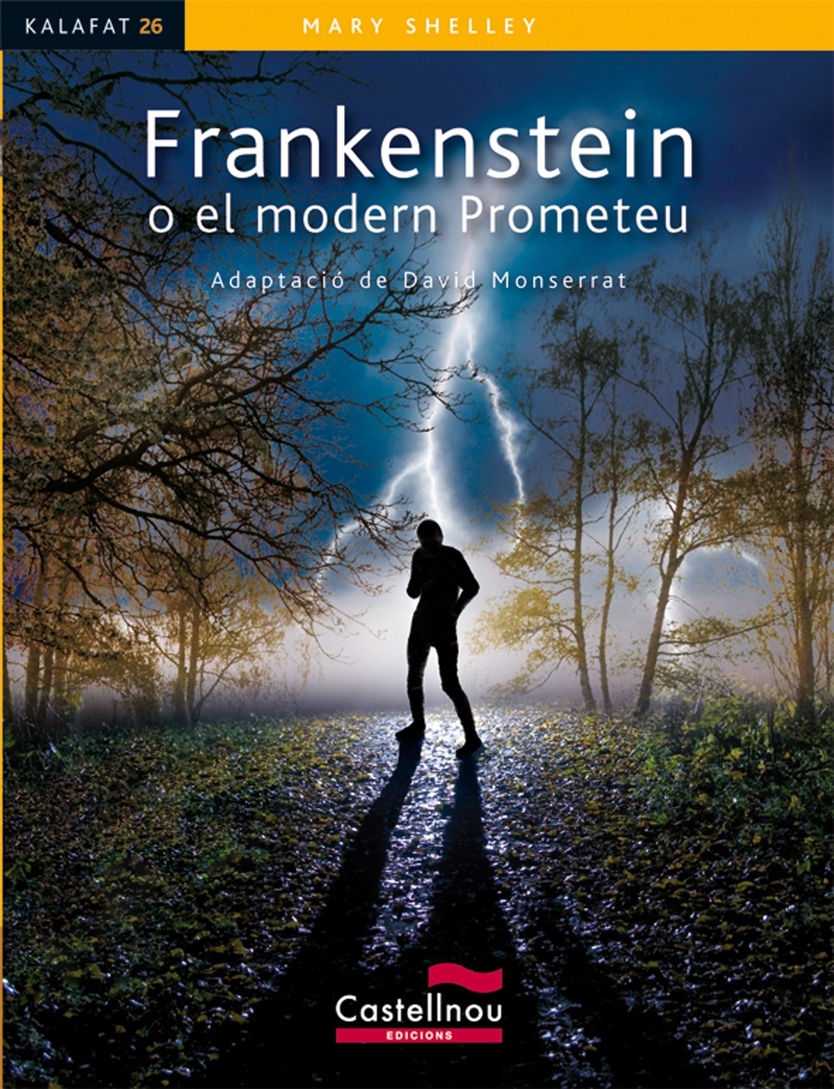 Frankenstein o el modern Prometeu