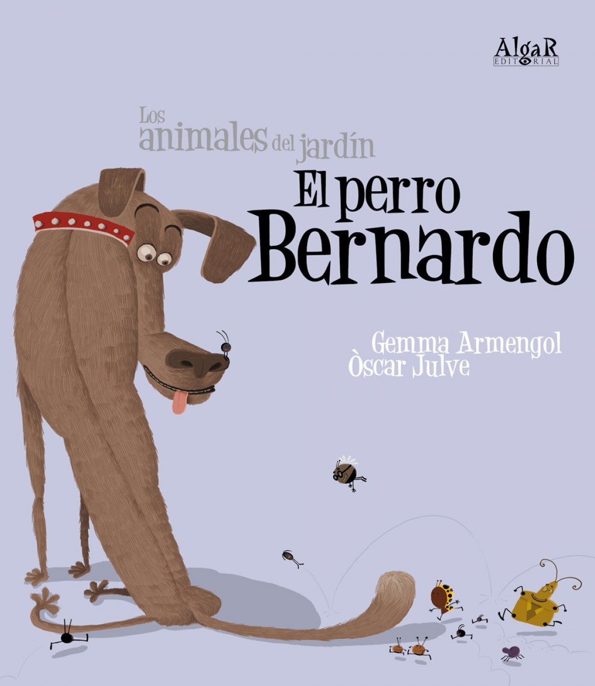 El perro bernardo