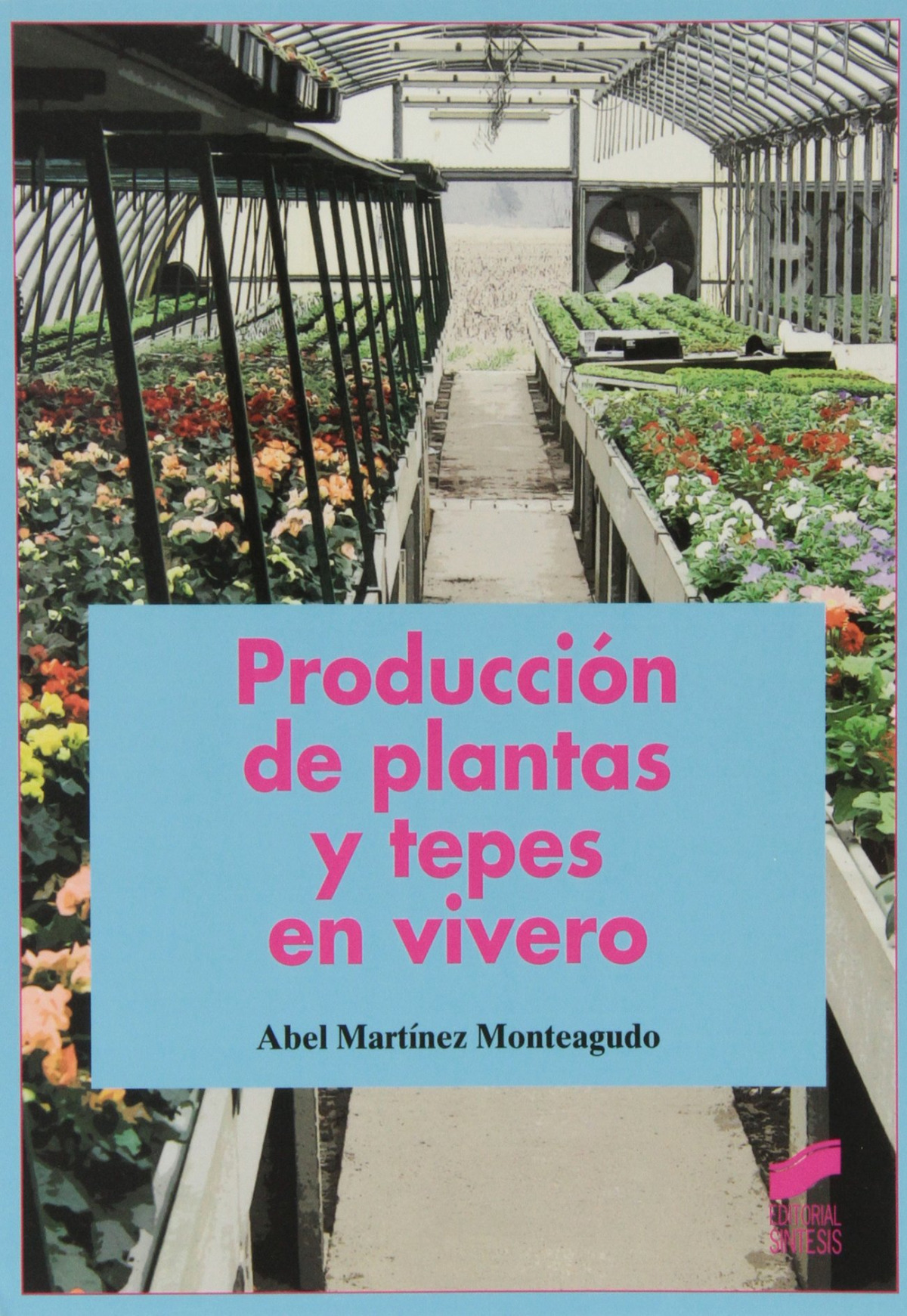 Producción de palntas y tepes en vivero