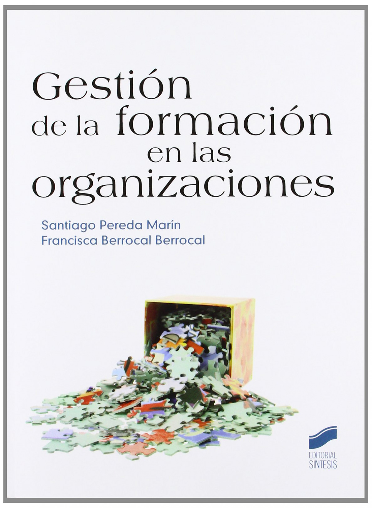 GESTION DE LA FORMACION EN LAS ORGANIZACIONES